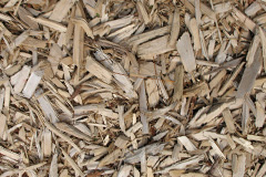 biomass boilers Jesmond